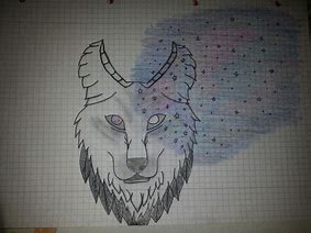 Image result for Galaxy Wolves Drawings Easy