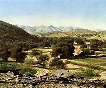 Image result for aoberge