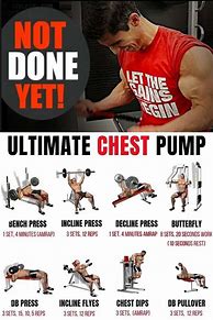 Image result for Chest Day Workout Plan