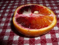 Image result for Blood Orange Fruit Close Up