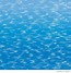 Image result for Water Texture Vector