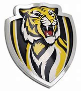Image result for AFL Tigers Logo