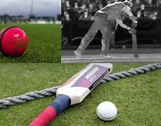 Image result for Good Cricket Inventions