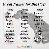 Image result for Big Boy Dog Names