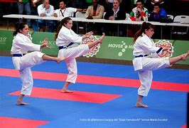 Image result for Most Useful Martial Arts