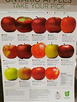 Image result for Yellow Apple Variety Chart