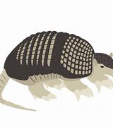 Image result for Armadillo Gigante