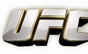 Image result for UFC Belt Logo