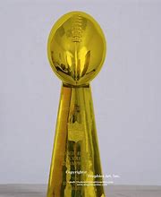 Image result for NFL Trophy