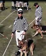 Image result for Blind NFL Referees