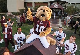 Image result for Mississippi State Football Bulldog Mascot