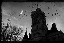 Image result for Castle Tower Flying Bats