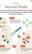 Image result for How Vaccines Work Diagram