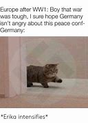 Image result for WW2 Memes Europe