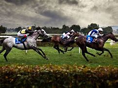 Image result for Racing Horse Photo No Background