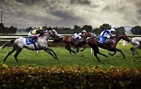 Image result for Horse Racing Wallpaper Designs