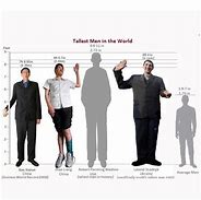 Image result for 1.5 Meters Tall