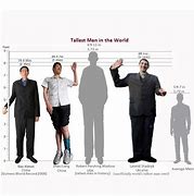 Image result for 5 Meters Tall