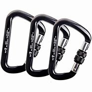 Image result for Small Rock Climbing Carabiner