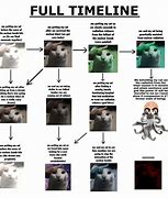 Image result for Cat Meme Timeline