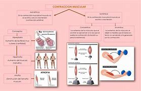 Image result for contractikidad