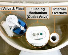 Image result for Thomas Dudley Dual Flush Button