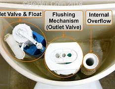 Image result for Toilet Dual Flush Valve Kit