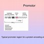 Image result for Genes and Proteins