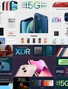Image result for Apple iPhone 12 vs 13