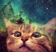 Image result for Cute Space Cat