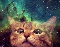 Image result for Space Cat Tone