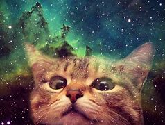 Image result for Space Cat Wallpaper 1920X1080