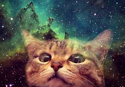 Image result for Space Cat Background Wallpaper