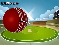 Image result for Cricket Field Setting