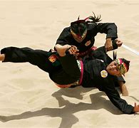 Image result for Martial Arts Styles List Malaysia