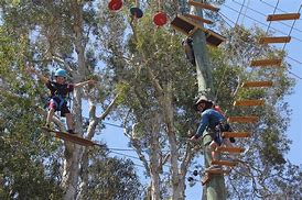 Image result for Australian Covid Camps