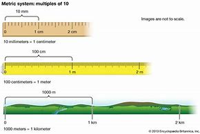 Image result for How Wide Is a Meter