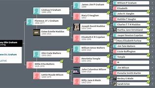 Image result for Lindsey Family Tree