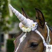 Image result for Girl with Unicorn Horn