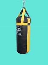 Image result for Everlast 40 Lb Bag