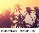 Image result for Tropical Scenes Wallpaper