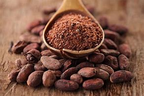 Image result for Cocoa Nut