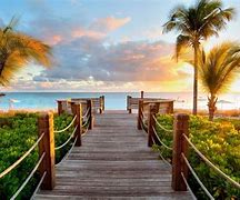 Image result for Tropical Background
