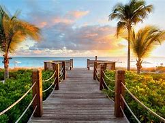Image result for Tropical Windows 11 Wallpaper Background