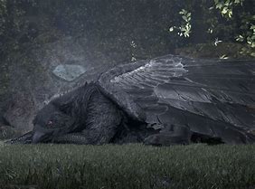 Image result for Black Griffin Creature