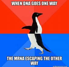 Image result for DNA Replication Meme