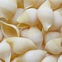 Image result for Pasta