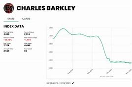 Image result for Charles Barkley Hair