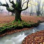 Image result for Best Places to Visit in Fall