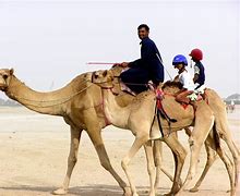 Image result for Camel Jockey